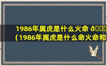 1986年属虎是什么火命 💐 （1986年属虎是什么命火命和金命）